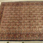 821 3001 ORIENTAL RUG